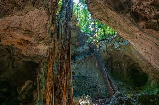 Green Grotto Caves + Beach