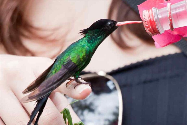 Birds sanctuary / weeds farms Shopping and beaches