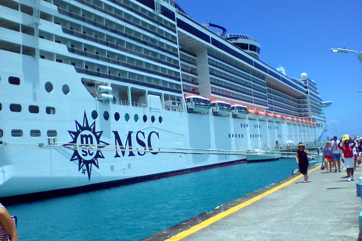 Cruise Ship Shore Excursions: for any cruise lines.