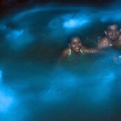Luminous lagoons Jamaica tour