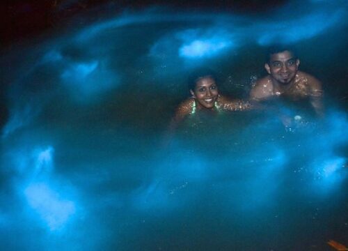 Luminous lagoons Nightly🌙: